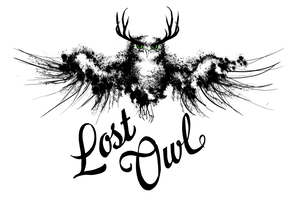 Lost Owl