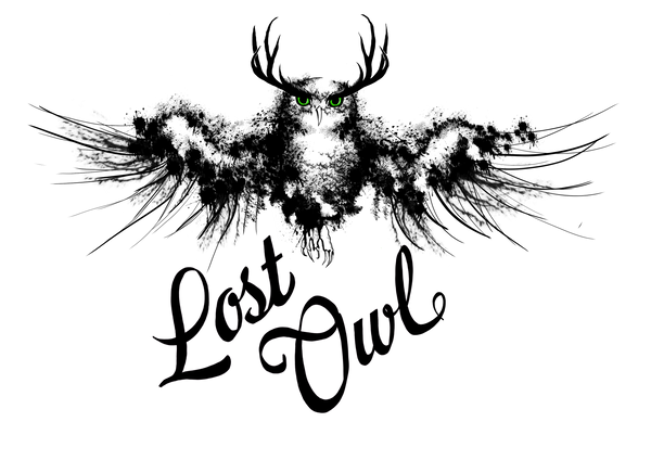Lost Owl