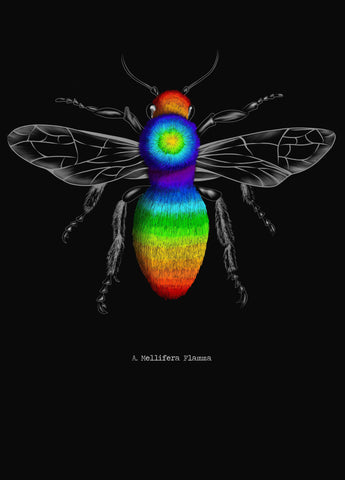 A. Mellifera Flamma Black edition